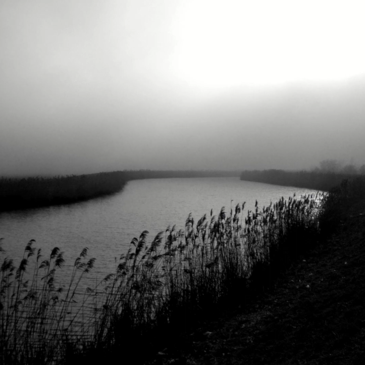 A Different Kind of Nothing